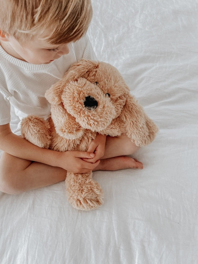 Charlie the Weighted Puppy Dog - Sensory Zone