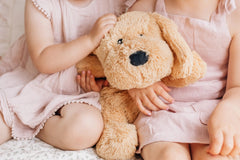 Charlie the Weighted Puppy Dog - Sensory Zone