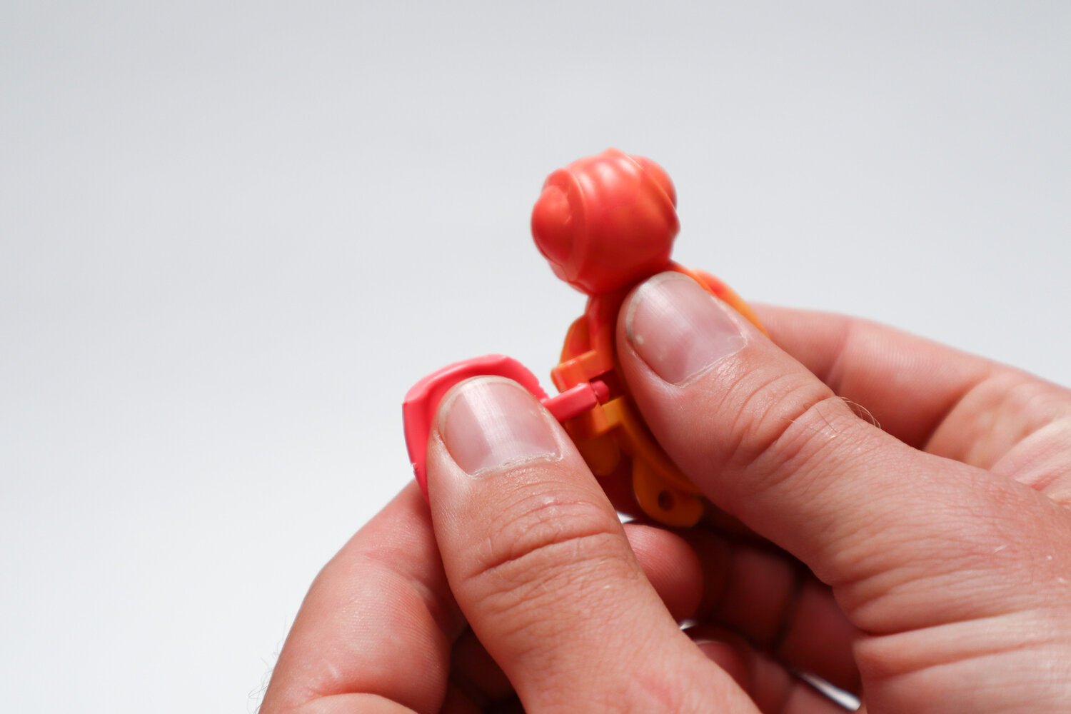 Calm Buddi Turtle - Sensory Zone