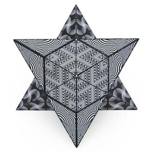 Shashibo Cube - Black & White