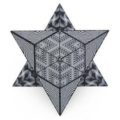 Shashibo Cube - Black & White - Sensory Zone