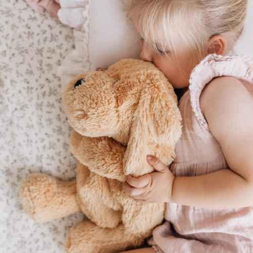 Charlie the Weighted Puppy Dog - Sensory Zone