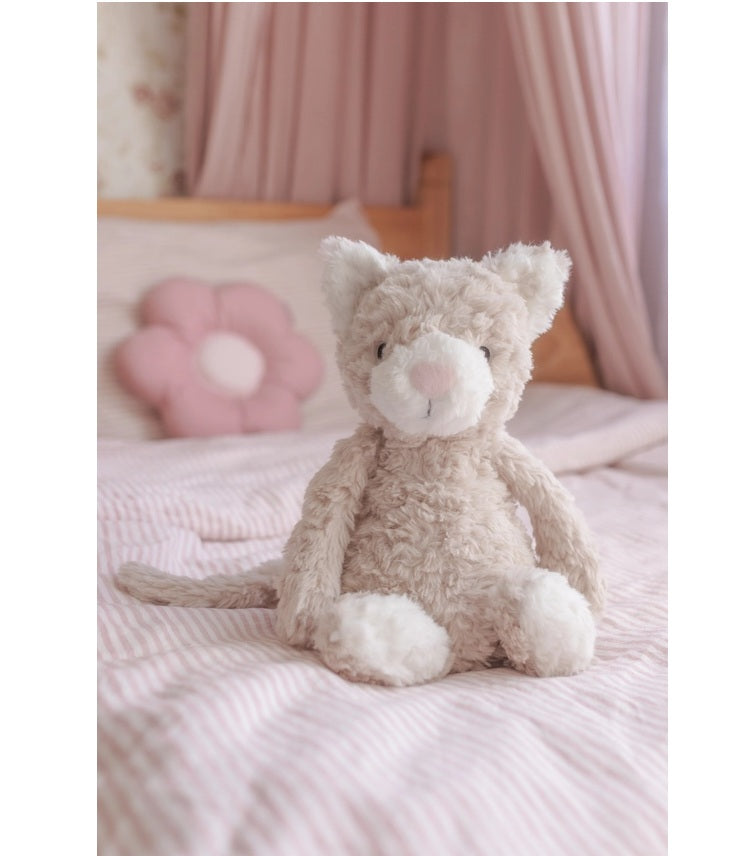 Pickles The Weighted Cat