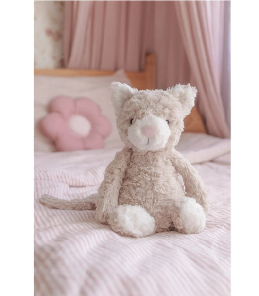 Pickles The Weighted Cat