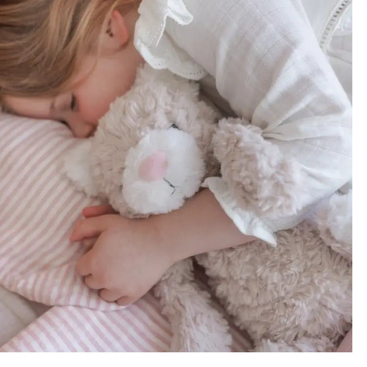 Pickles The Weighted Cat