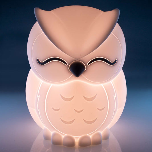 Lil Dreamers Soft Touch LED Light - Owl