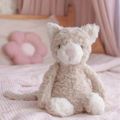 Pickles The Weighted Cat