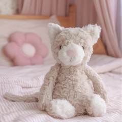 Pickles The Weighted Cat