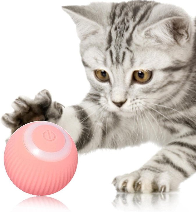 Automatic Intelligent Rolling Tease Pet Ball - Sensory Zone