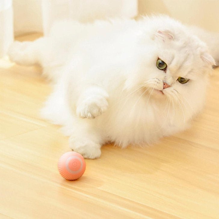 Automatic Intelligent Rolling Tease Pet Ball - Sensory Zone
