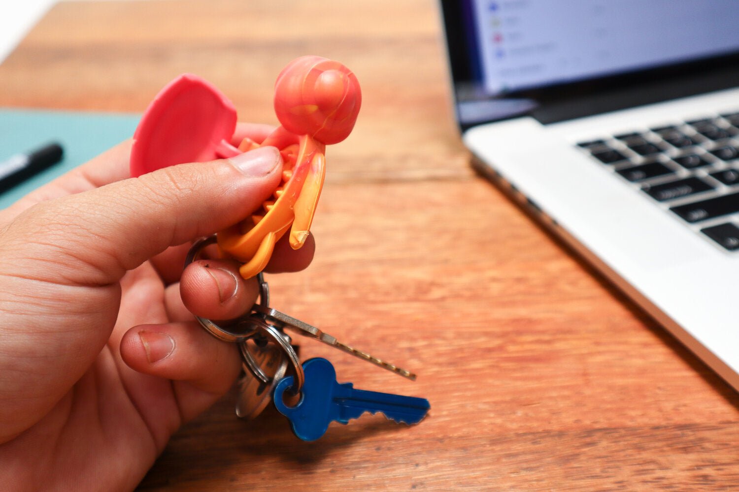 Calm Buddi Turtle - Sensory Zone