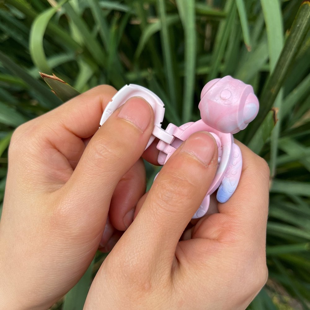 Calm Buddi Turtle - Sensory Zone