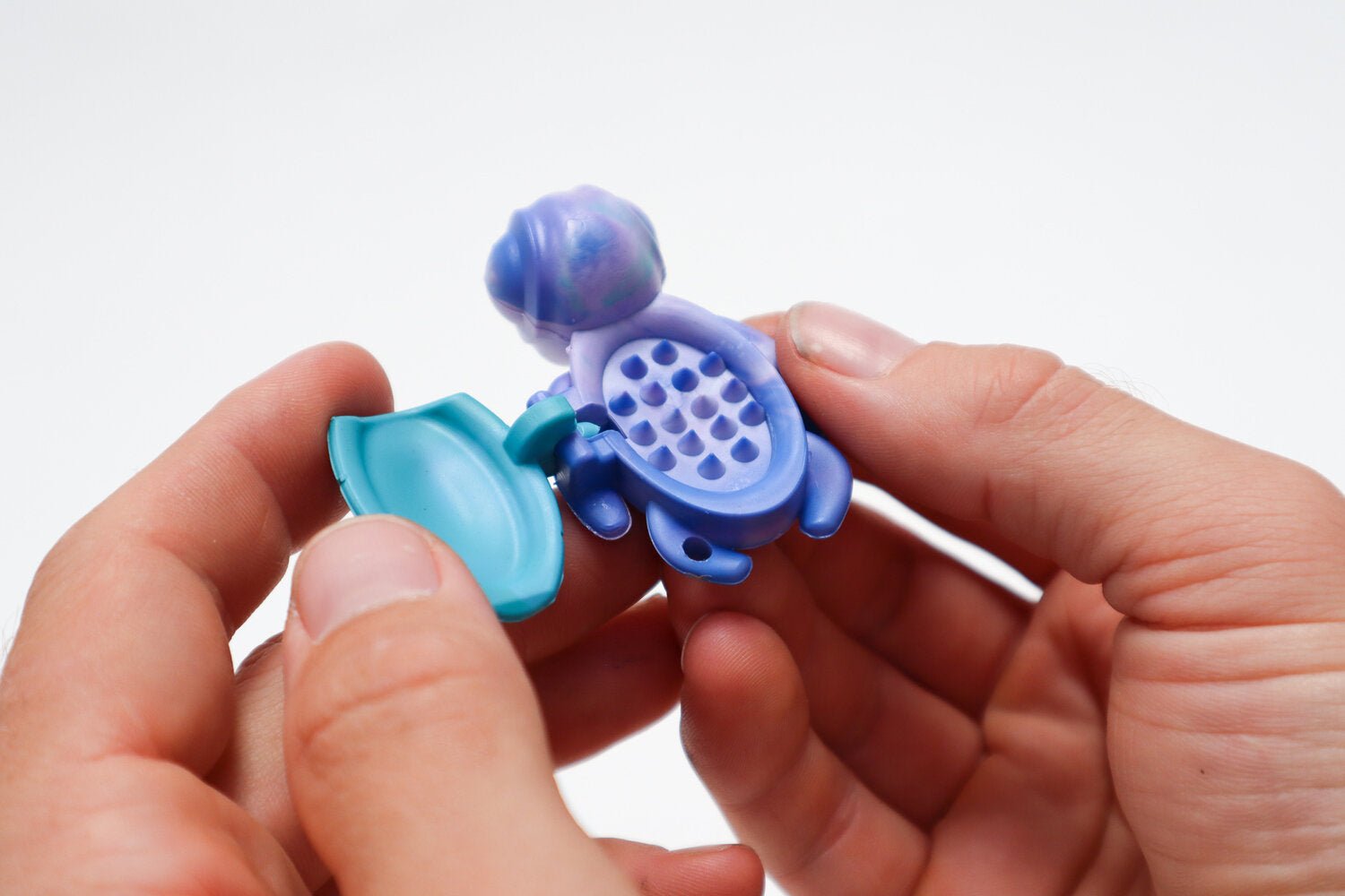 Calm Buddi Turtle - Sensory Zone