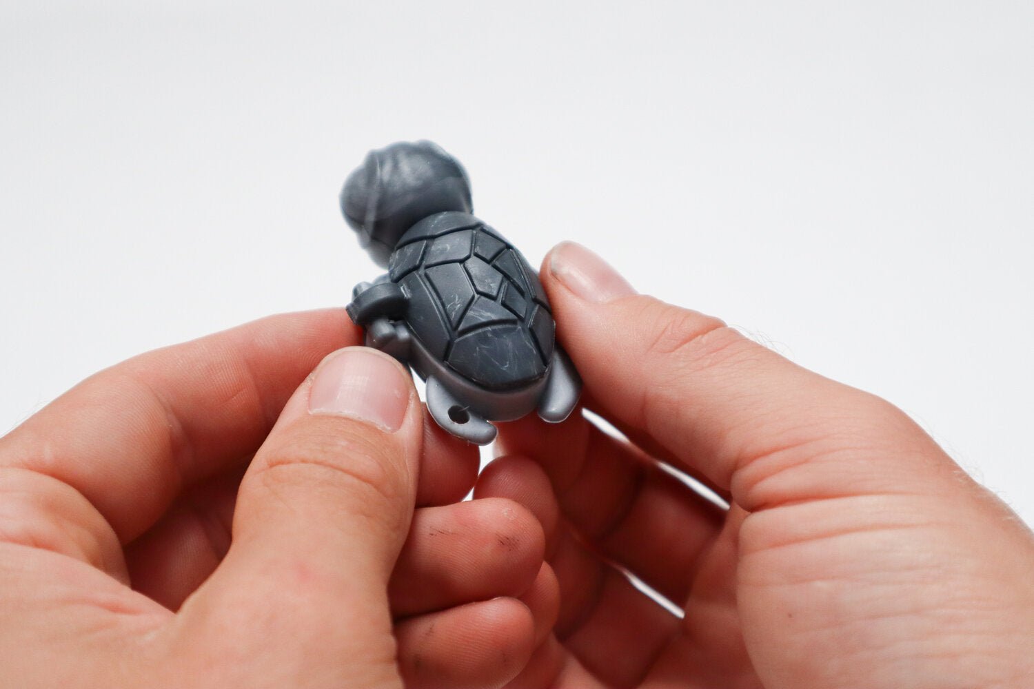 Calm Buddi Turtle - Sensory Zone